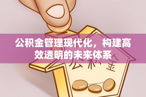 贵德公积金管理现代化，构建高效透明的未来体系