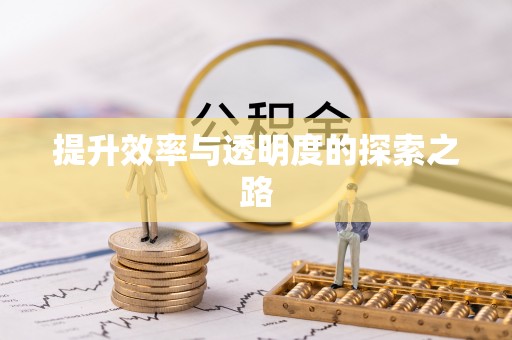 贵德提升效率与透明度的探索之路