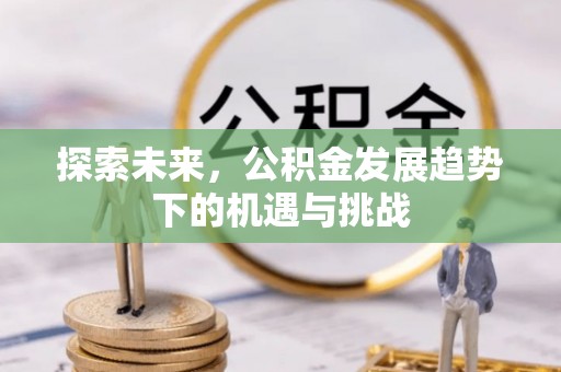 贵德探索未来，公积金发展趋势下的机遇与挑战
