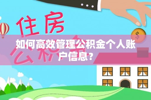 贵德如何高效管理公积金个人账户信息？