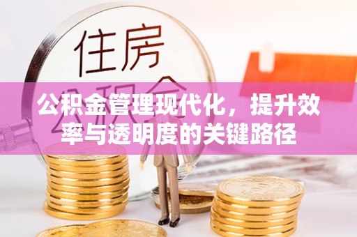 贵德公积金管理现代化，提升效率与透明度的关键路径
