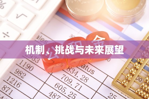 贵德机制、挑战与未来展望